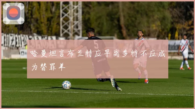 哈曼坦言布兰特应早离多特不应成为替罪羊