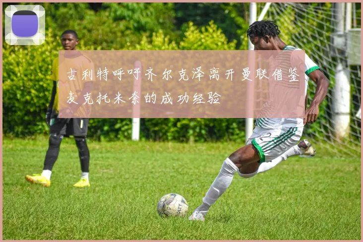 古利特呼吁齐尔克泽离开曼联借鉴麦克托米奈的成功经验